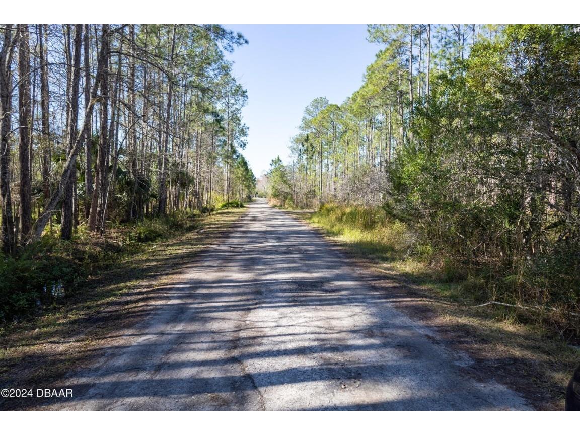 3653 Conifer Lane Ormond Beach FL 32174 V4943708 image9