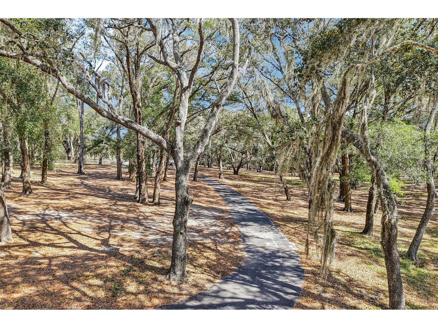36530 Lazy B Lane Eustis FL 32736 - LAKE TUTLE G5107705 image2