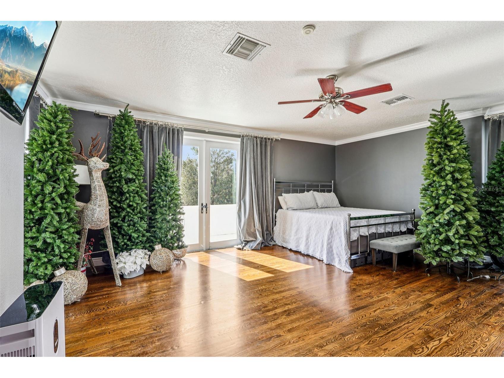 36530 Lazy B Lane Eustis FL 32736 - LAKE TUTLE G5107705 image27