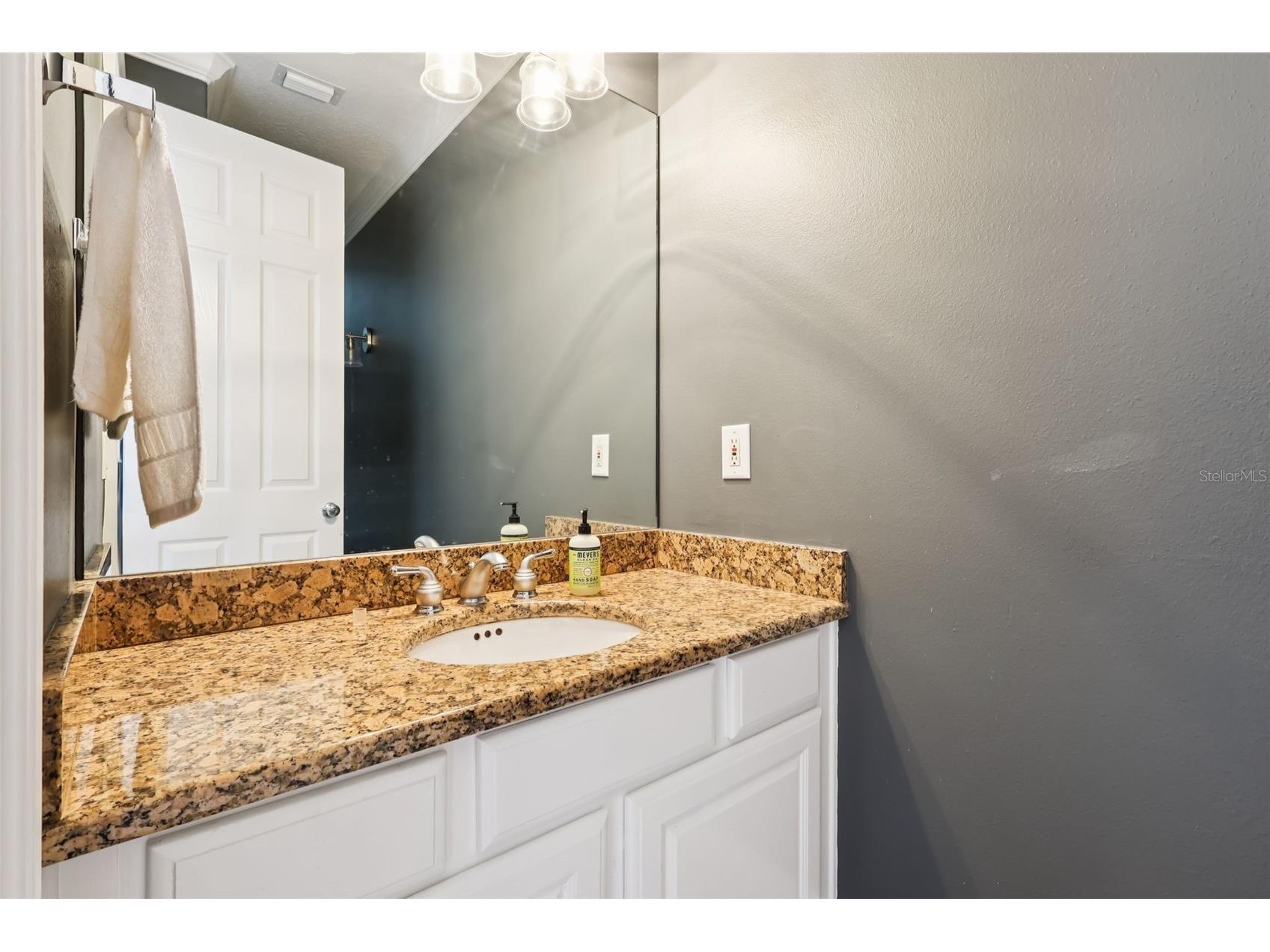 36530 Lazy B Lane Eustis FL 32736 - LAKE TUTLE G5107705 image38
