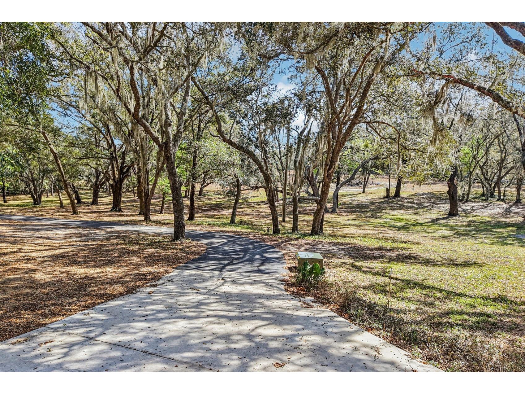 36530 Lazy B Lane Eustis FL 32736 - LAKE TUTLE G5107705 image43