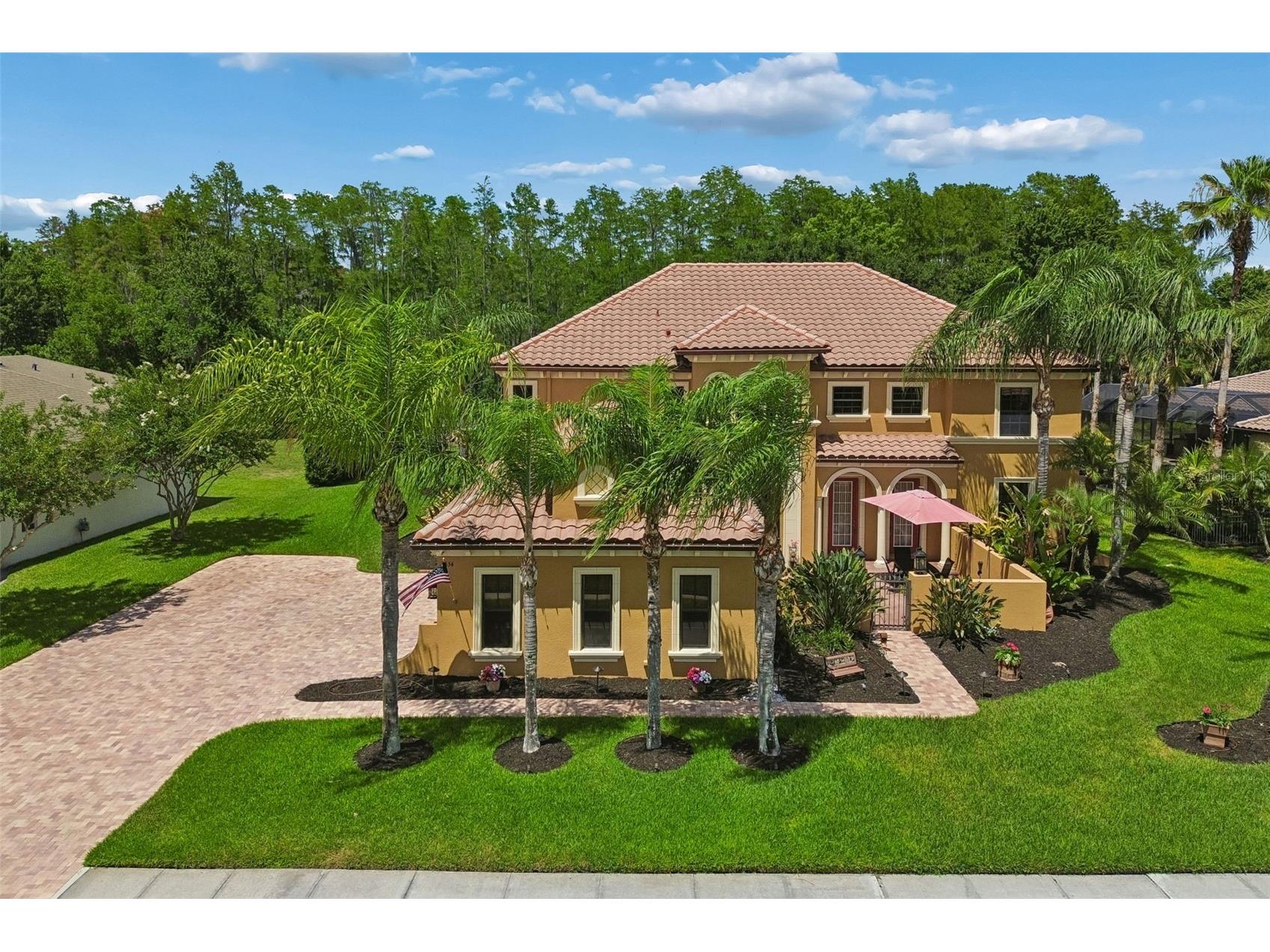 3654 Ballastone Drive Land O Lakes FL 34638 TB8510166 image1