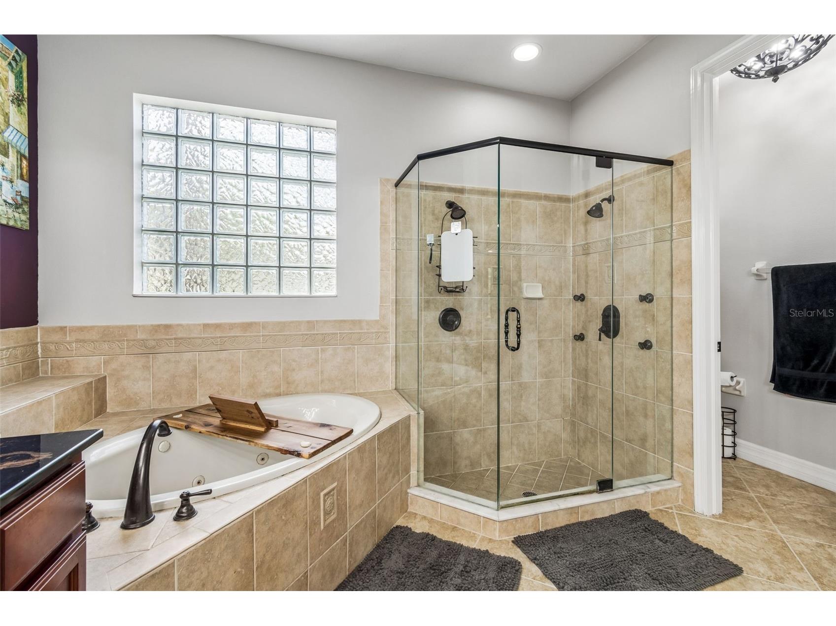 3654 Ballastone Drive Land O Lakes FL 34638 TB8510166 image40