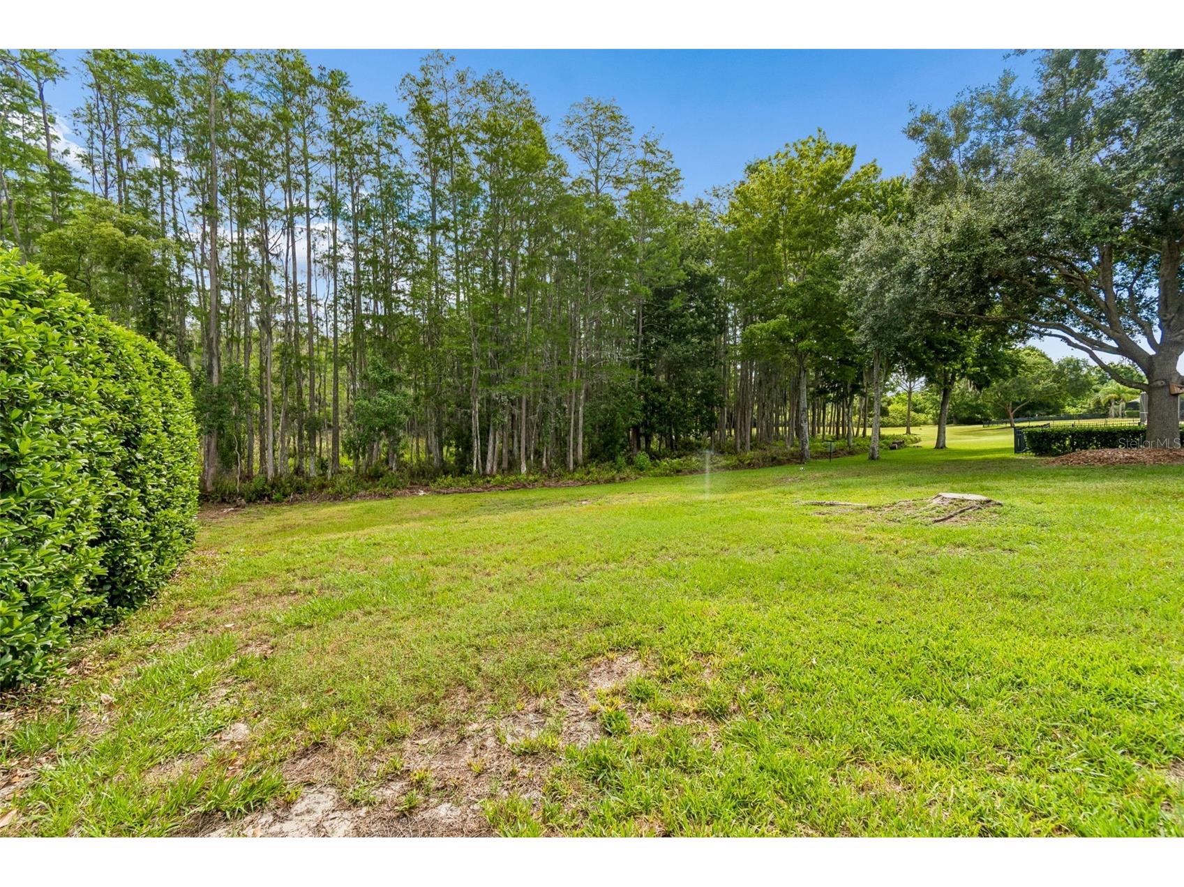 3654 Ballastone Drive Land O Lakes FL 34638 TB8510166 image87