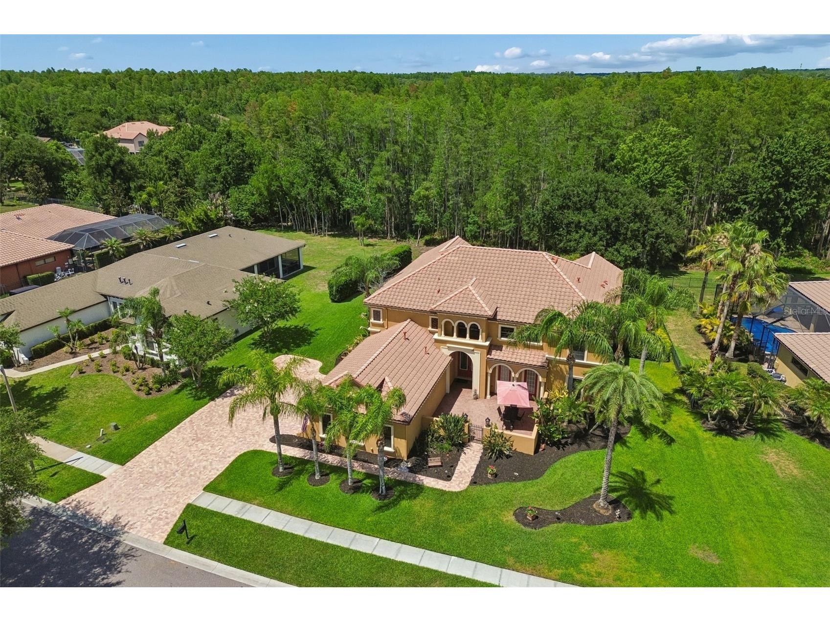 3654 Ballastone Drive Land O Lakes FL 34638 TB8510166 image90