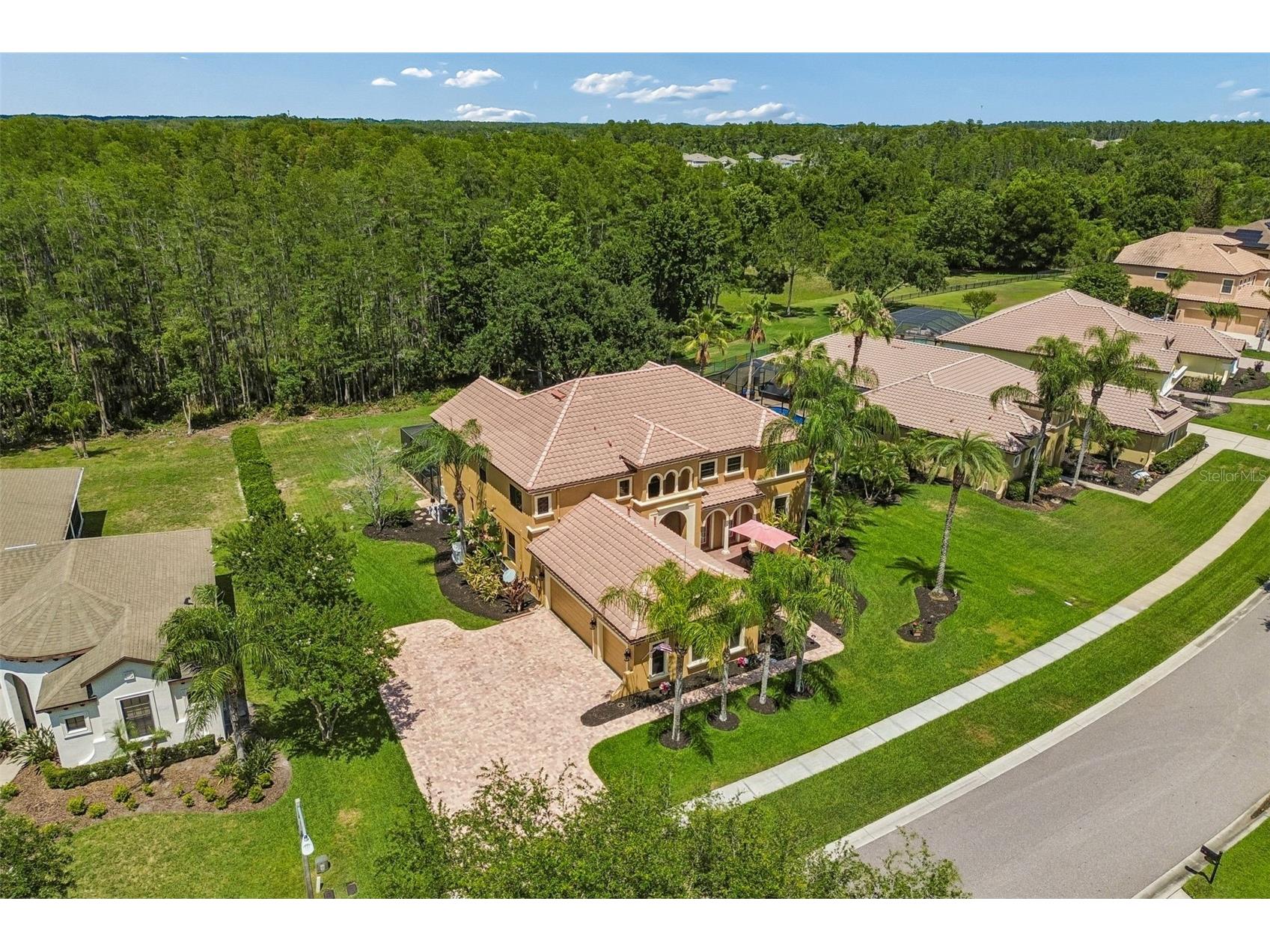3654 Ballastone Drive Land O Lakes FL 34638 TB8510166 image91