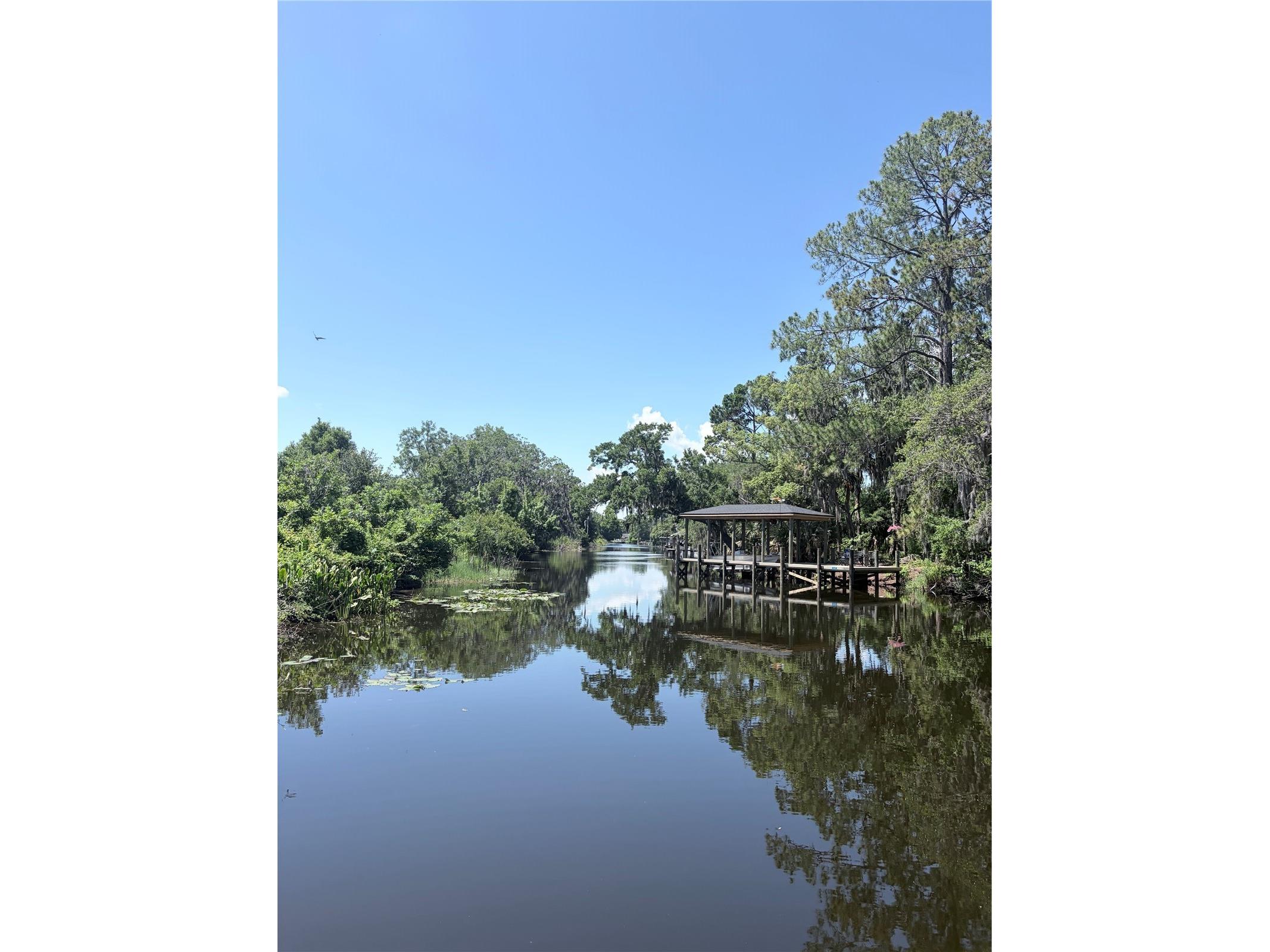 3654 Hidden River Lane Tavares FL 32778 - HARRIS CHAIN OF LAKES S5150154 image19