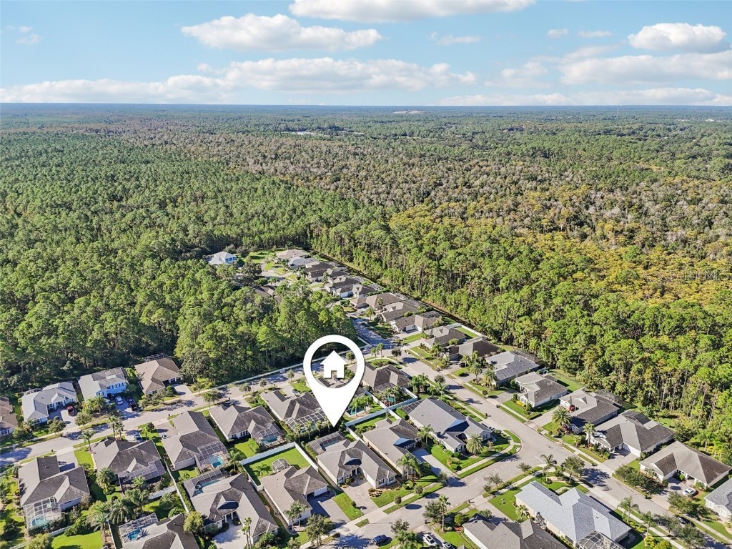 3654 Pini Avenue New Smyrna Beach FL 32168 O6352465 image43