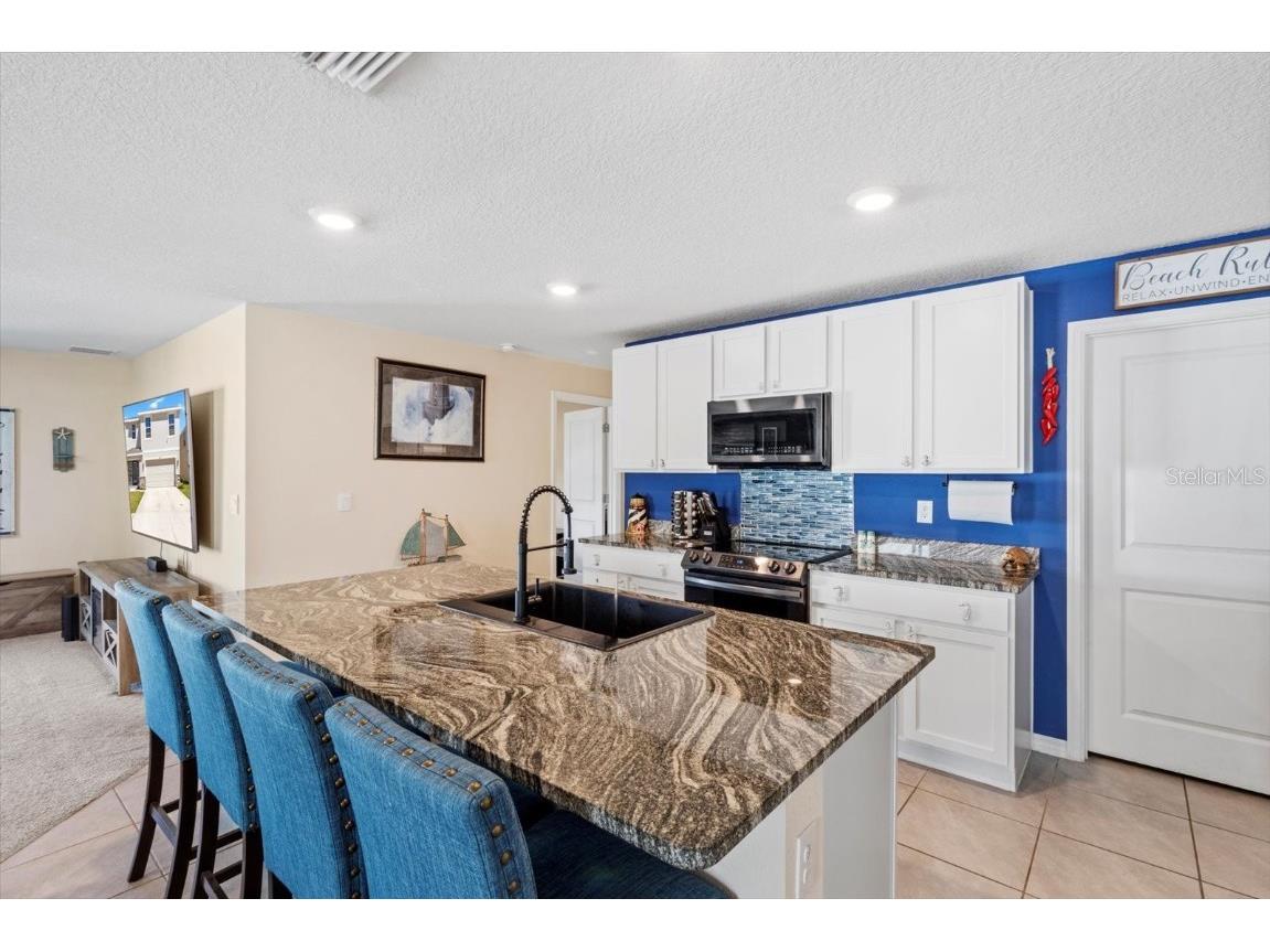 36541 Night Strawberry Court Dade City FL 33525 TB8366517 image18