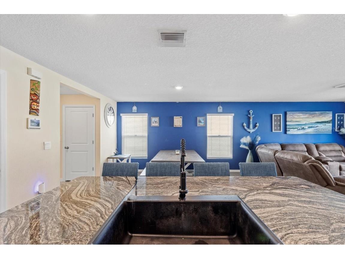 36541 Night Strawberry Court Dade City FL 33525 TB8366517 image21