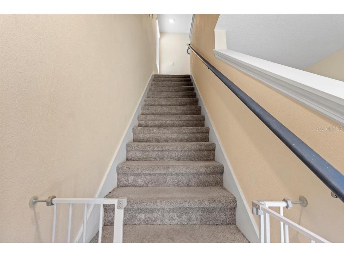 36541 Night Strawberry Court Dade City FL 33525 TB8366517 image28