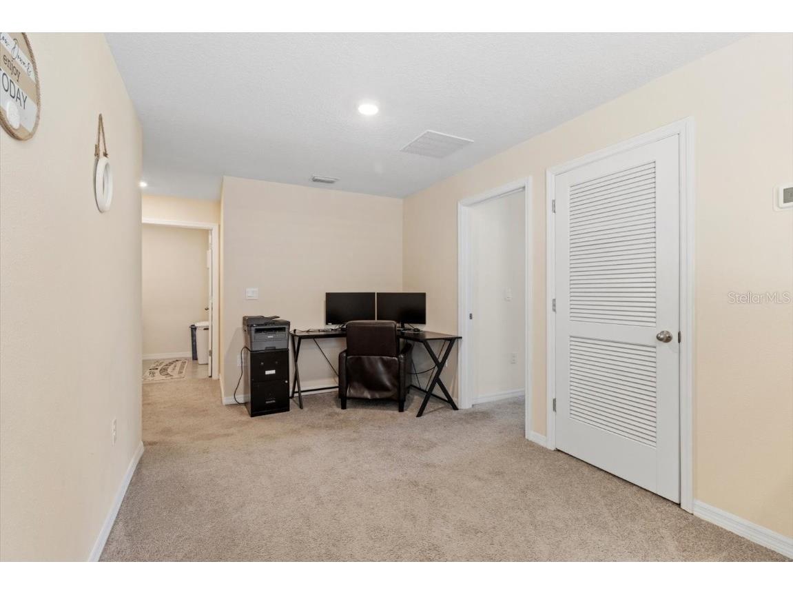 36541 Night Strawberry Court Dade City FL 33525 TB8366517 image29