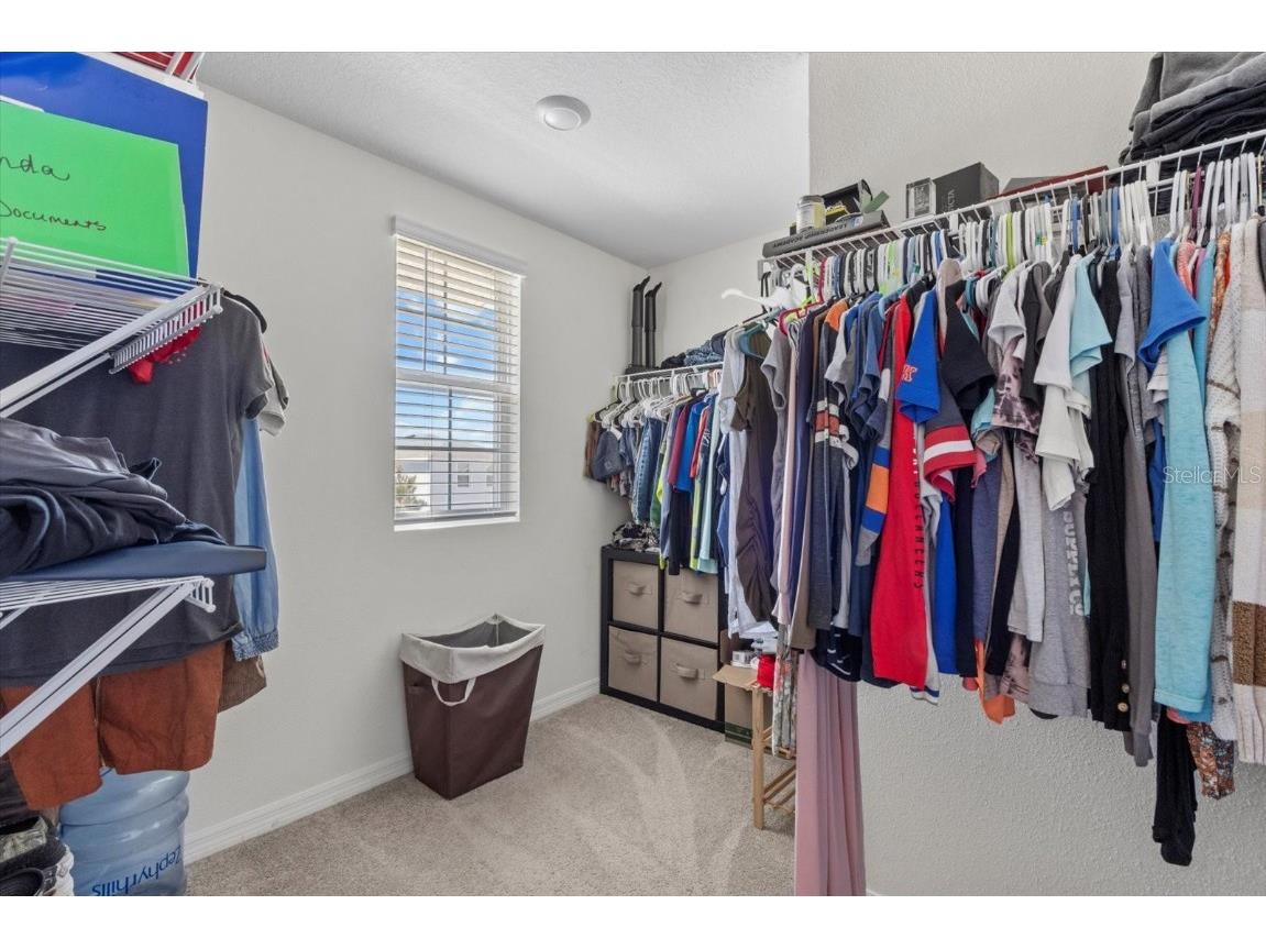 36541 Night Strawberry Court Dade City FL 33525 TB8366517 image31