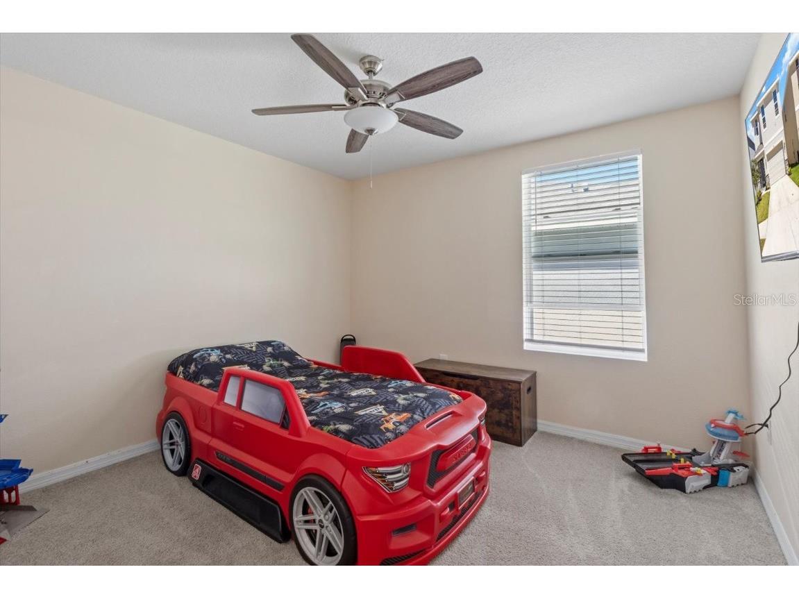 36541 Night Strawberry Court Dade City FL 33525 TB8366517 image36