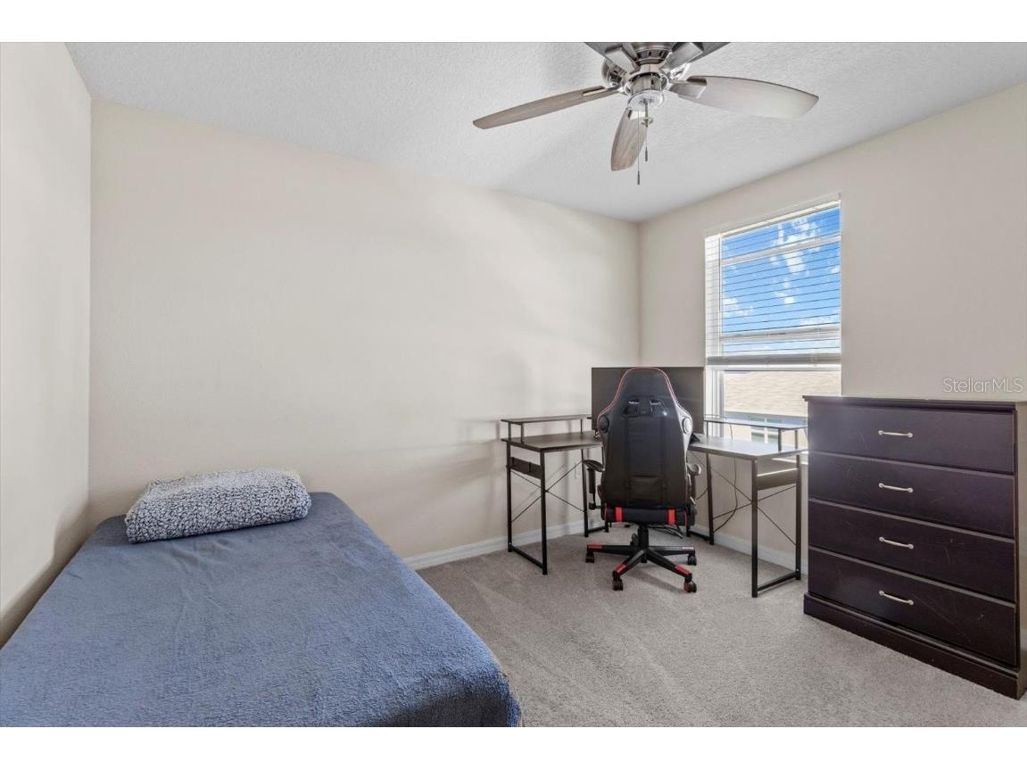 36541 Night Strawberry Court Dade City FL 33525 TB8366517 image38