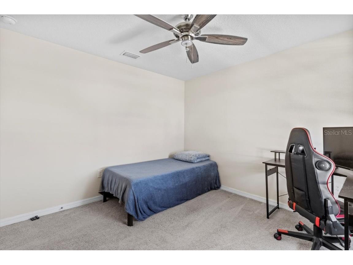 36541 Night Strawberry Court Dade City FL 33525 TB8366517 image39