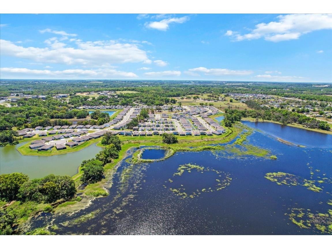 36541 Night Strawberry Court Dade City FL 33525 TB8366517 image58