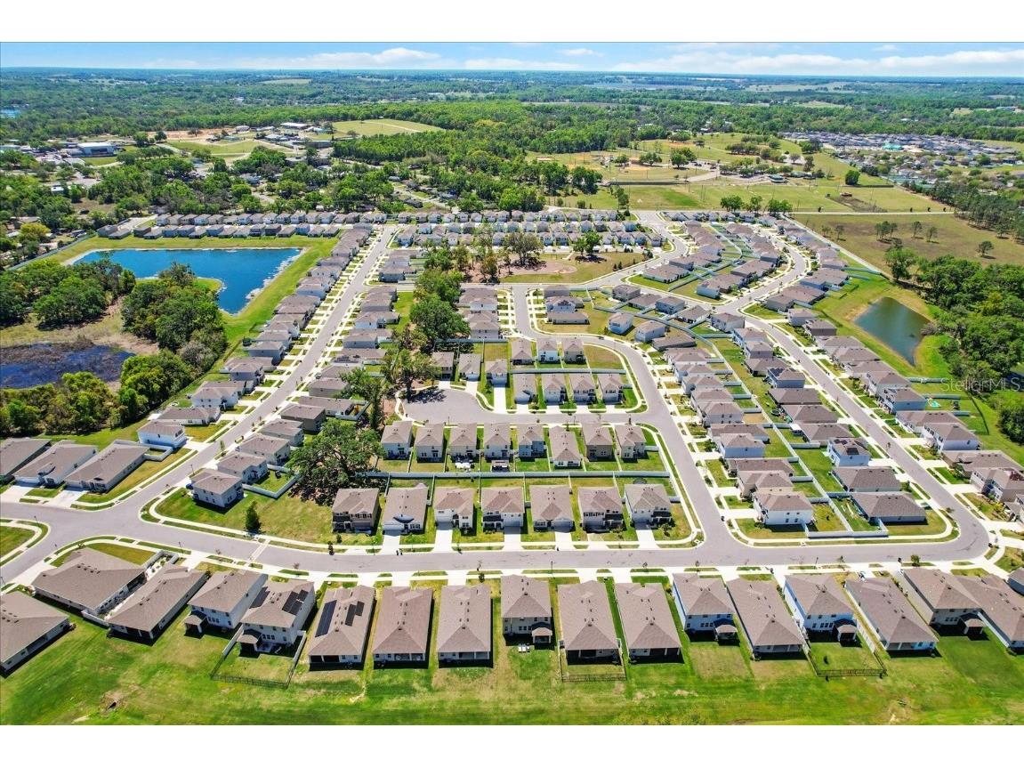 36541 Night Strawberry Court Dade City FL 33525 TB8366517 image59