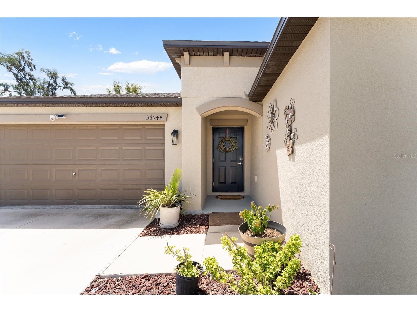 36548 Garden Wall Way Zephyrhills FL 33541 TB8501098 image31