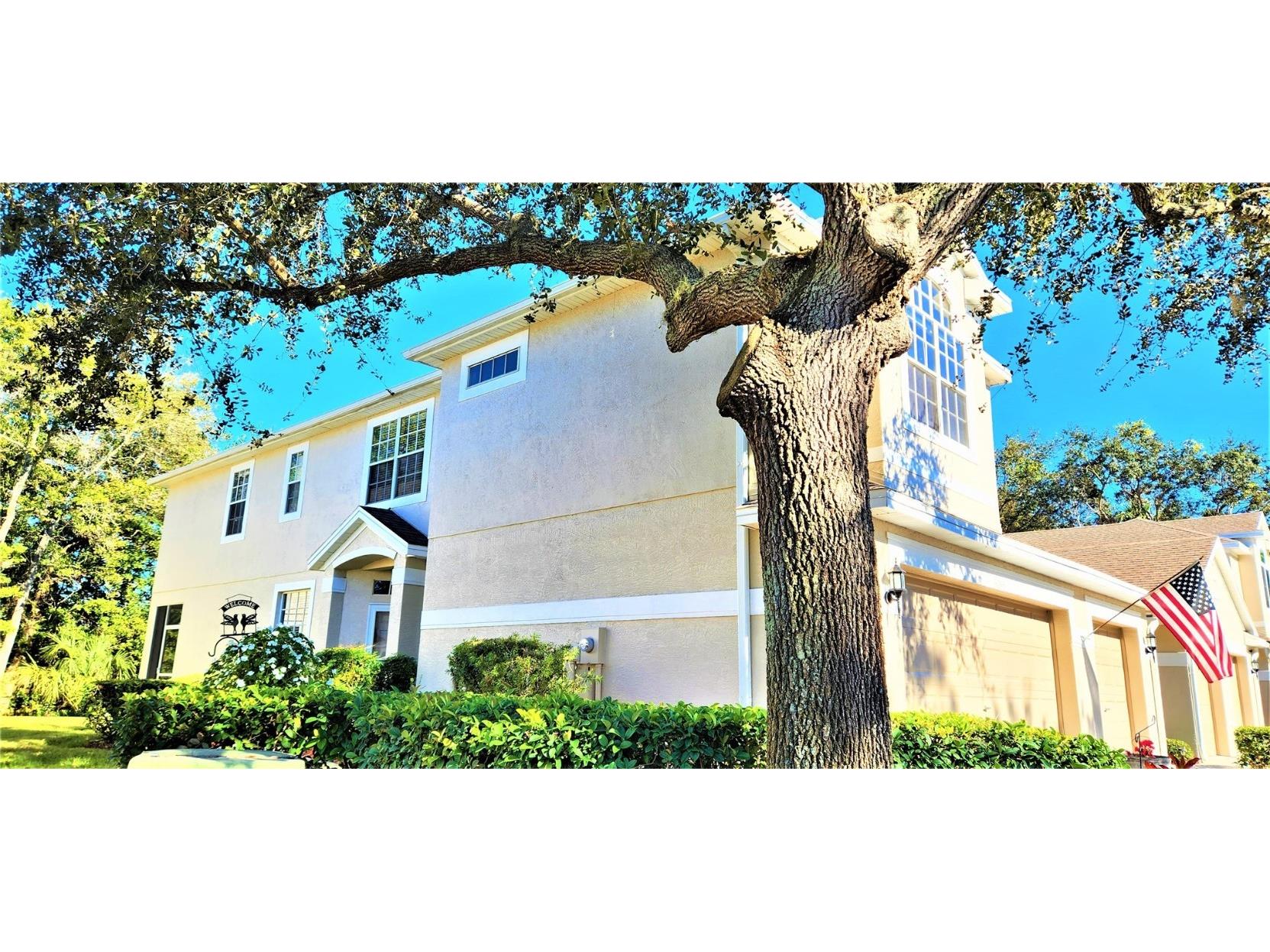 3655 Country Pointe Place Palm Harbor FL 34684 U8186957 image1