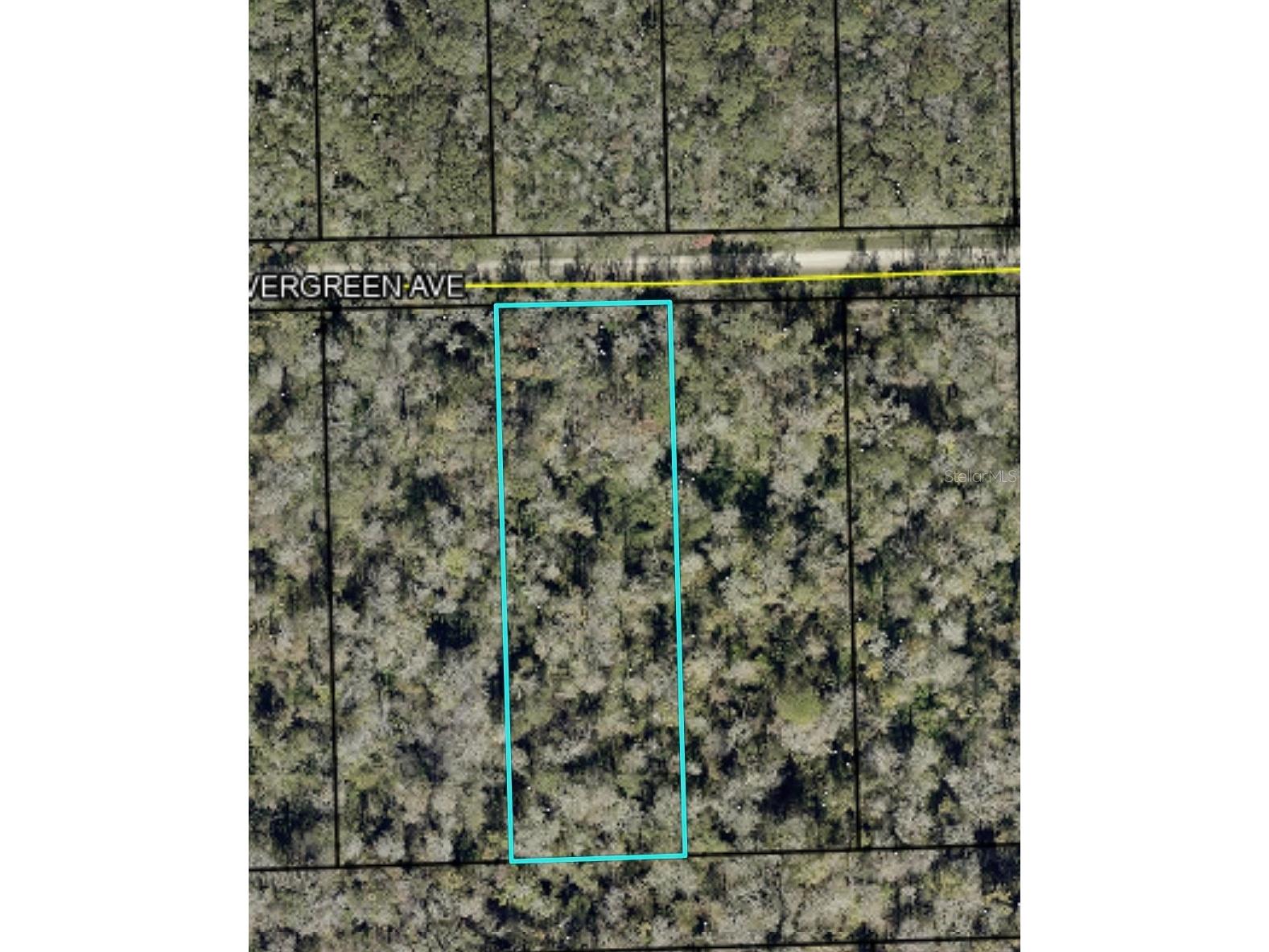 3655 Evergreen Avenue Bunnell FL 32110 FC318640 image1