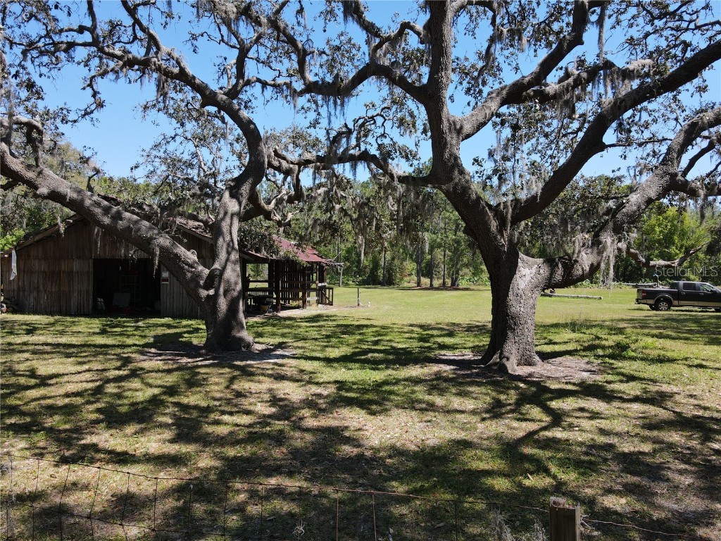 3655 Keystone Road Tarpon Springs FL 34688 W7873804 image1