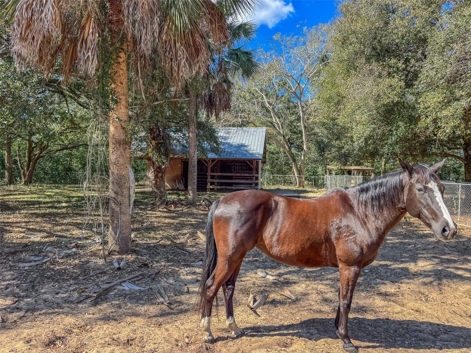 3655 N Scenic Highway Lake Wales FL 33898 L4959026 image33
