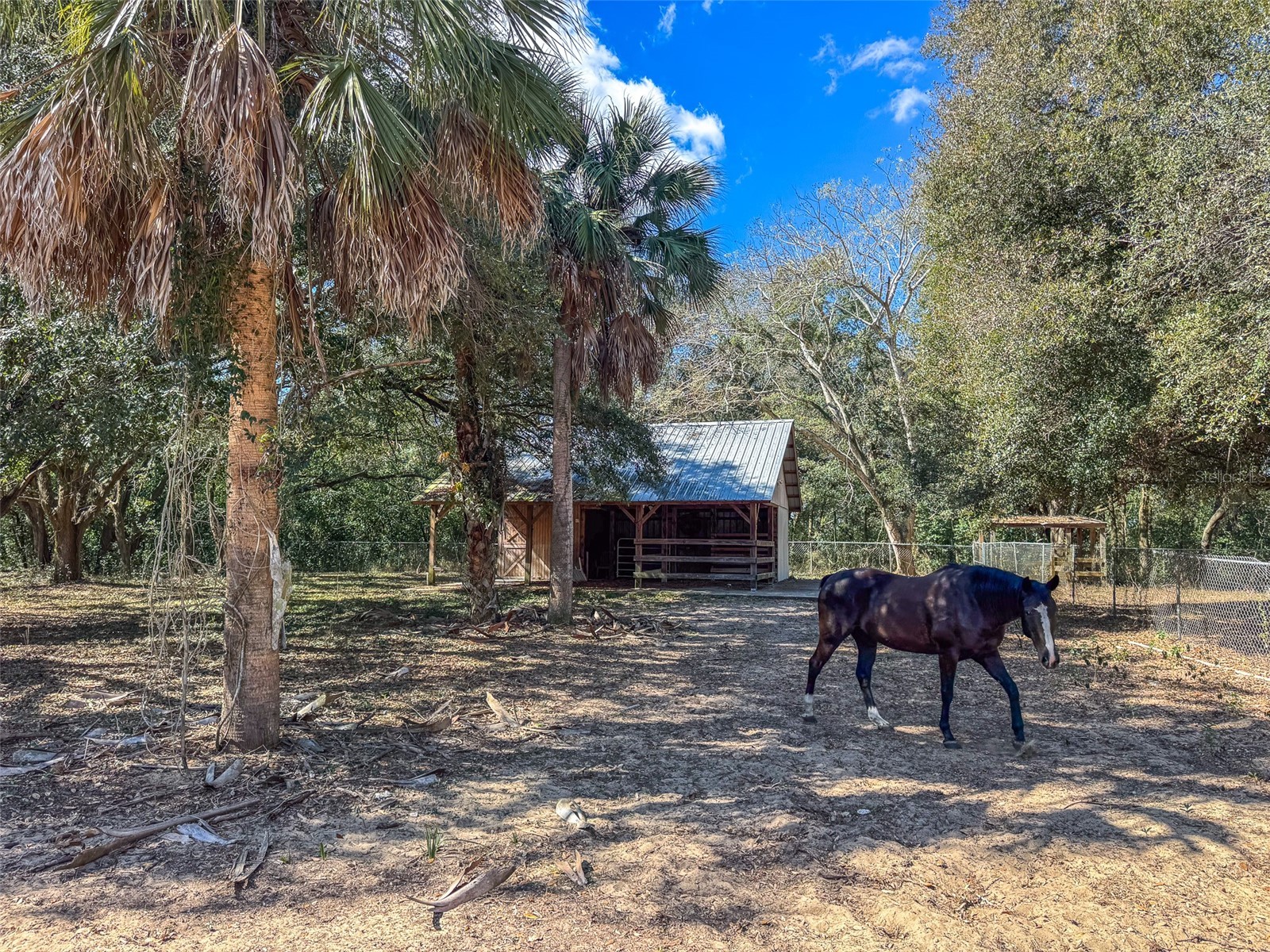 3655 N Scenic Highway Lake Wales FL 33898 L4959026 image34