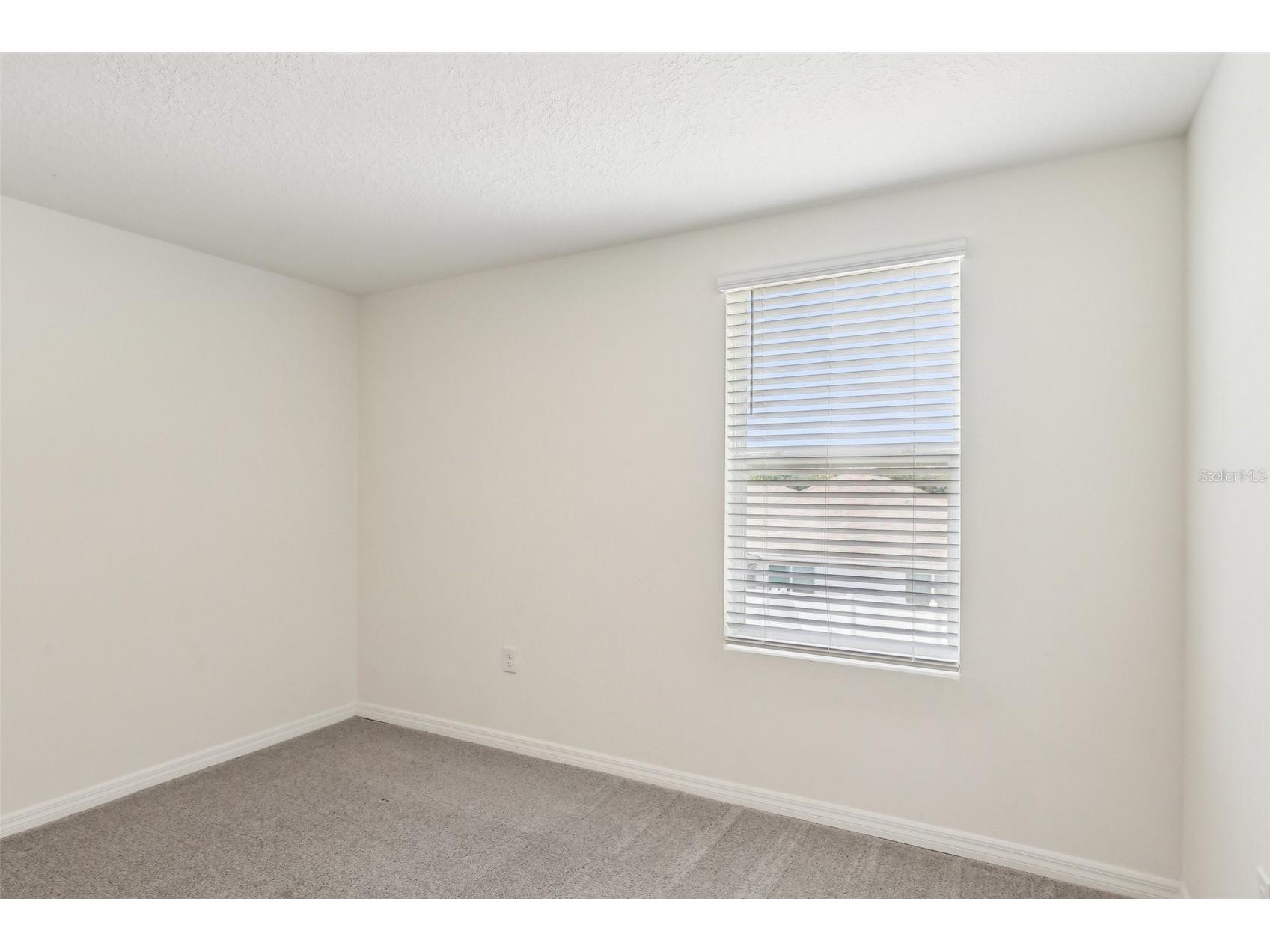 36557 Night Strawberry Court Dade City FL 33525 TB8526875 image28