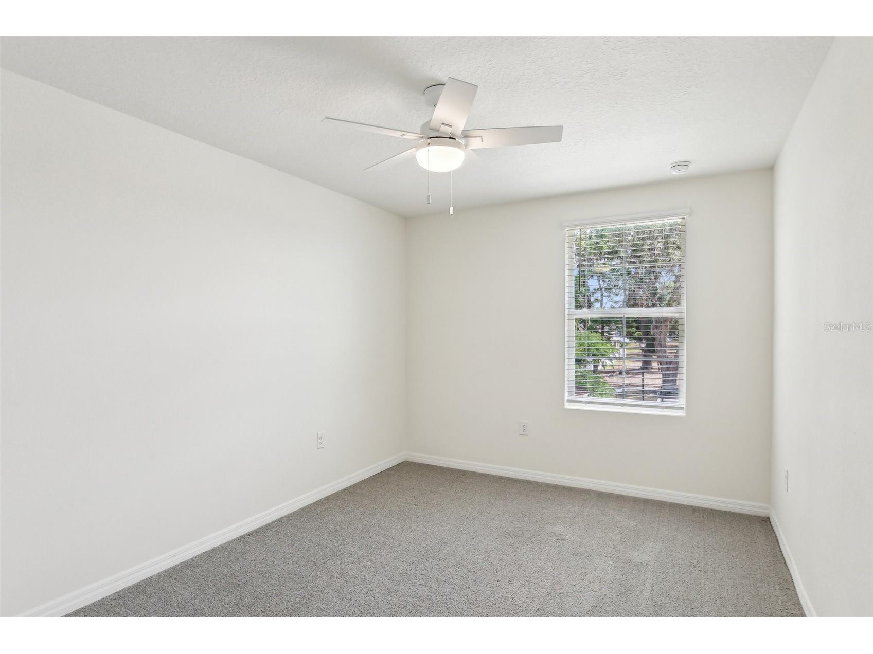 36557 Night Strawberry Court Dade City FL 33525 TB8526875 image35
