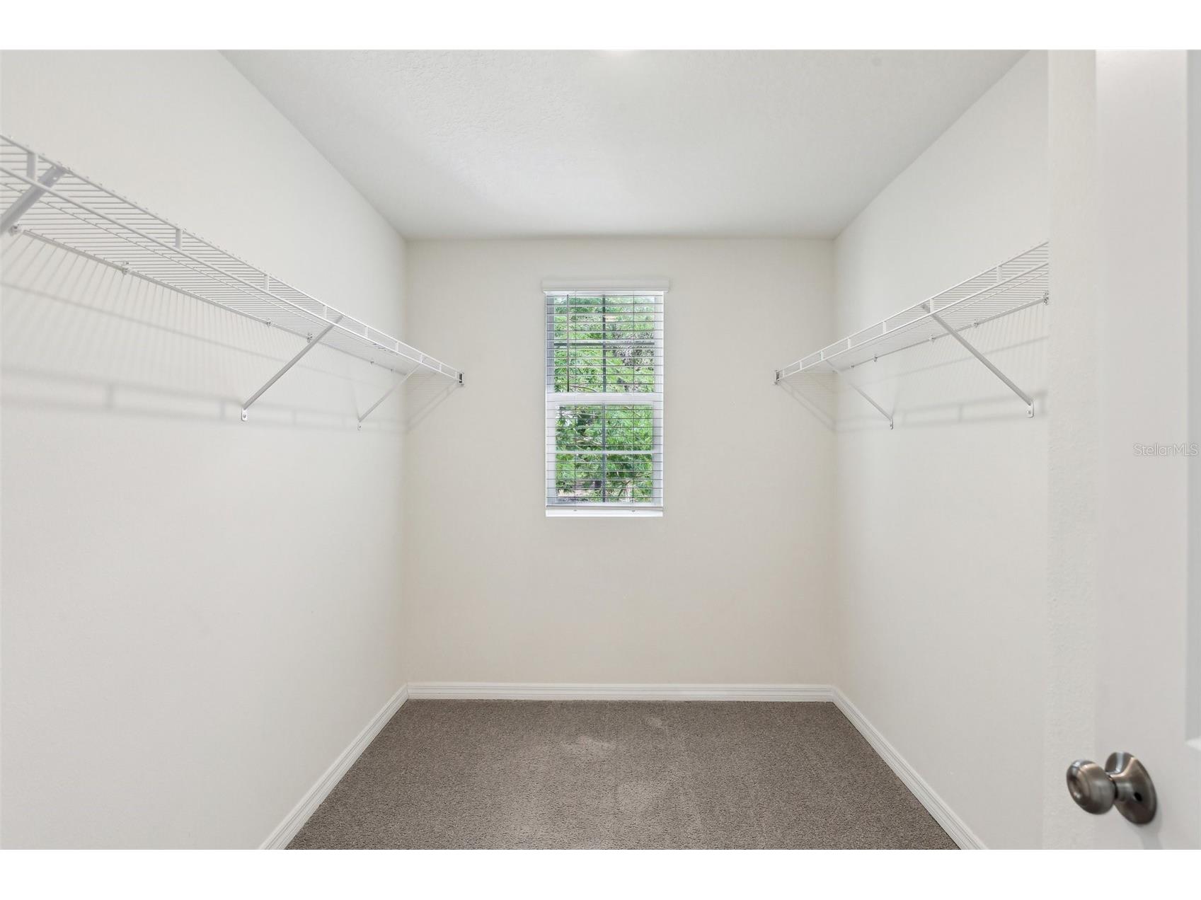 36557 Night Strawberry Court Dade City FL 33525 TB8526875 image41
