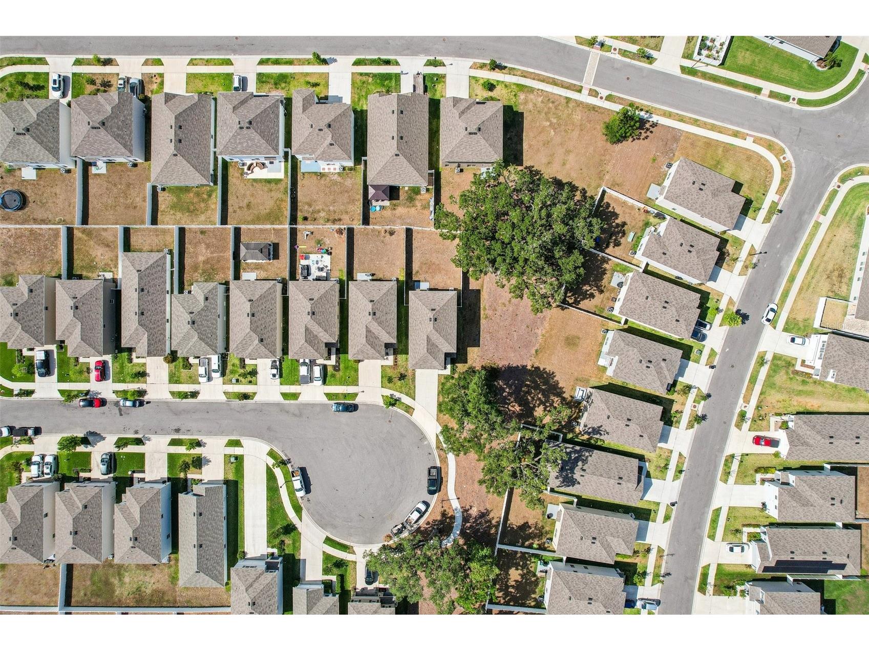36557 Night Strawberry Court Dade City FL 33525 TB8526875 image59