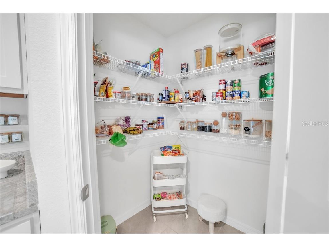 36558 Spanish Rose Drive Dade City FL 33525 TB8418358 image16