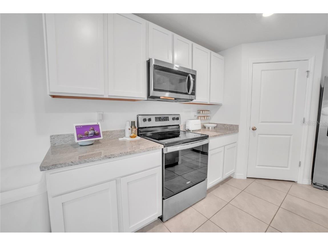 36558 Spanish Rose Drive Dade City FL 33525 TB8418358 image17