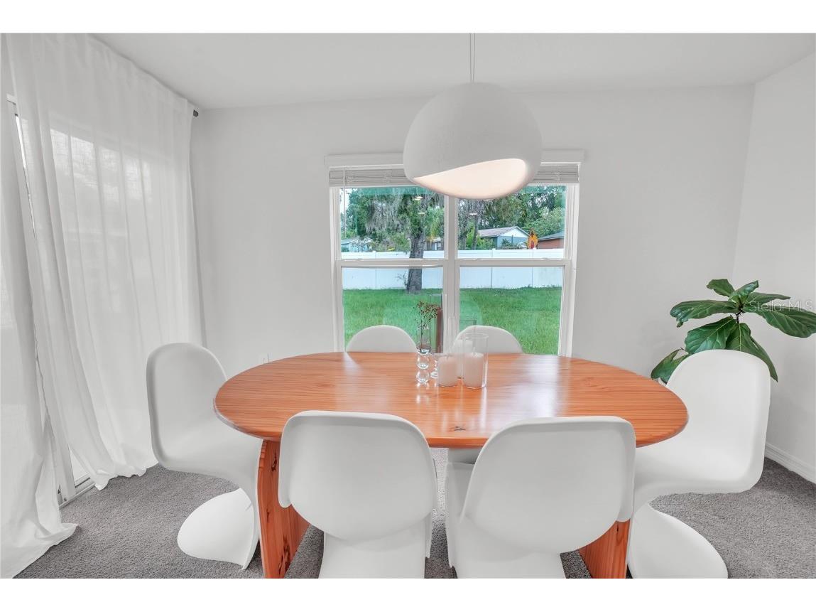 36558 Spanish Rose Drive Dade City FL 33525 TB8418358 image18