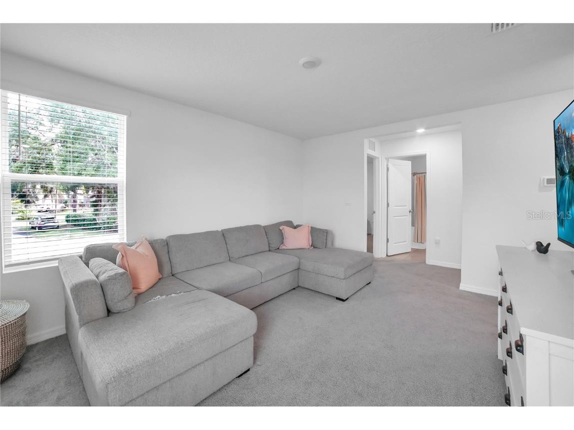 36558 Spanish Rose Drive Dade City FL 33525 TB8418358 image23