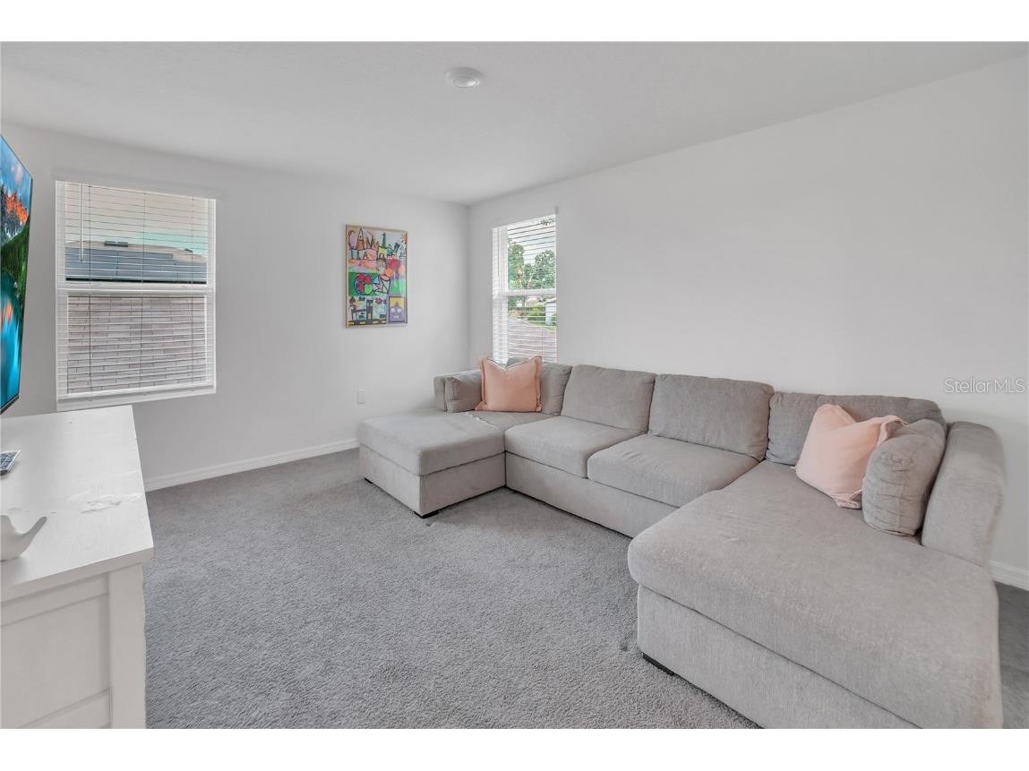 36558 Spanish Rose Drive Dade City FL 33525 TB8418358 image24