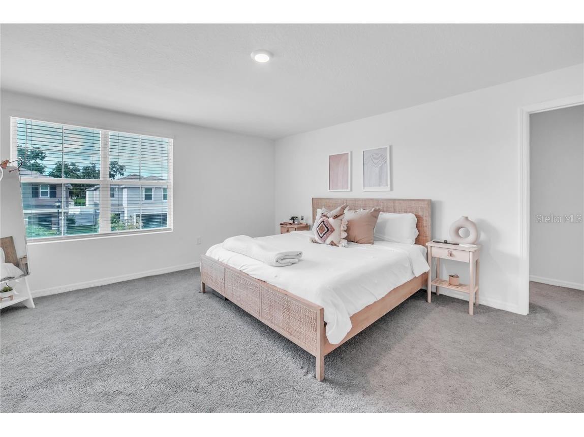 36558 Spanish Rose Drive Dade City FL 33525 TB8418358 image26