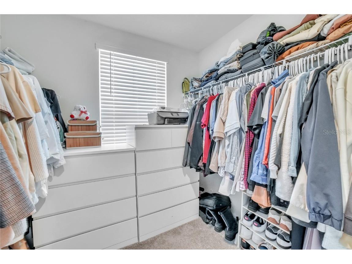 36558 Spanish Rose Drive Dade City FL 33525 TB8418358 image31