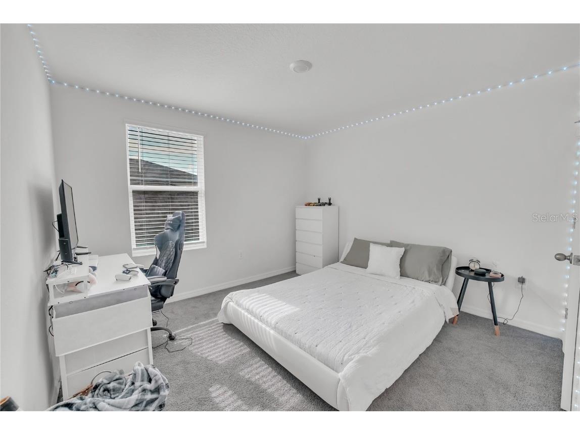 36558 Spanish Rose Drive Dade City FL 33525 TB8418358 image32