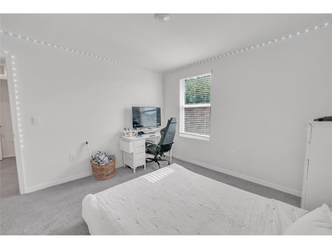 36558 Spanish Rose Drive Dade City FL 33525 TB8418358 image33