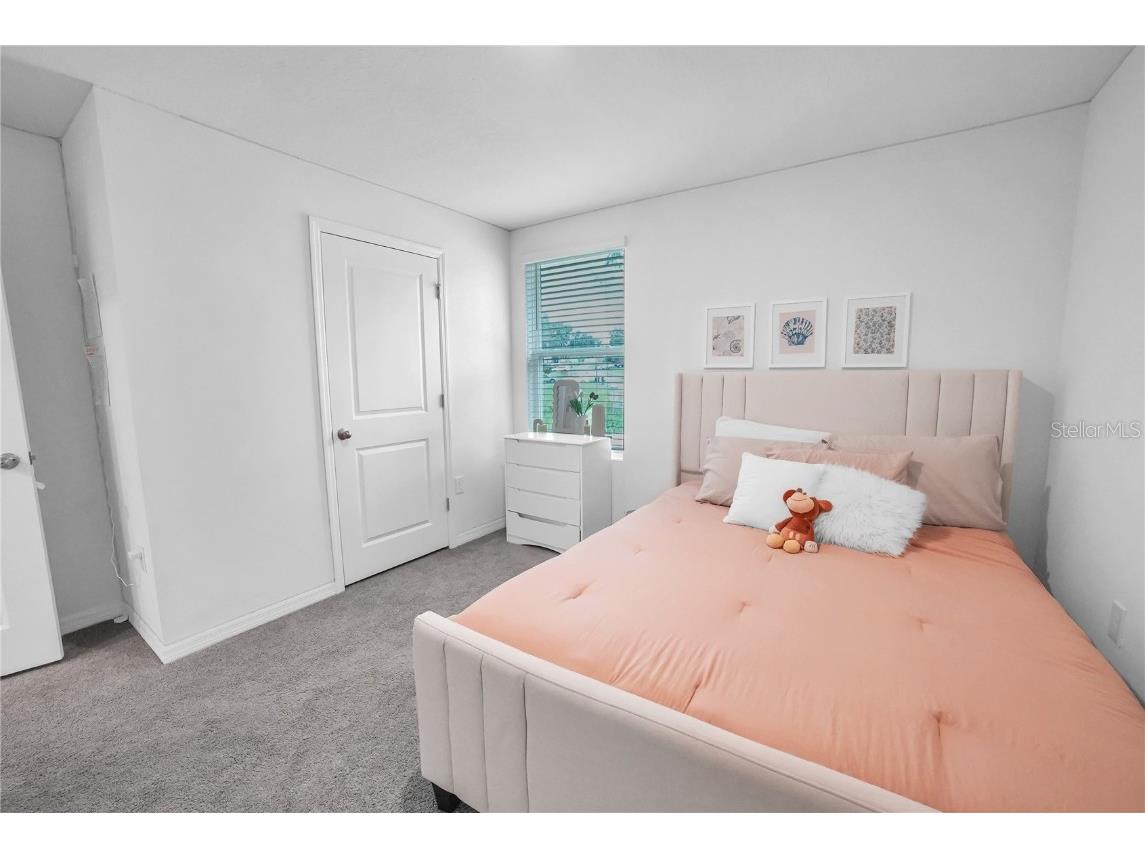 36558 Spanish Rose Drive Dade City FL 33525 TB8418358 image37