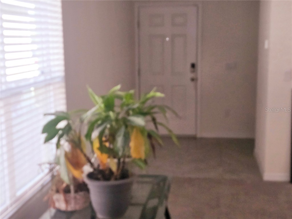 36562 Silver Maize Drive Dade City FL 33525 TB8360760 image11