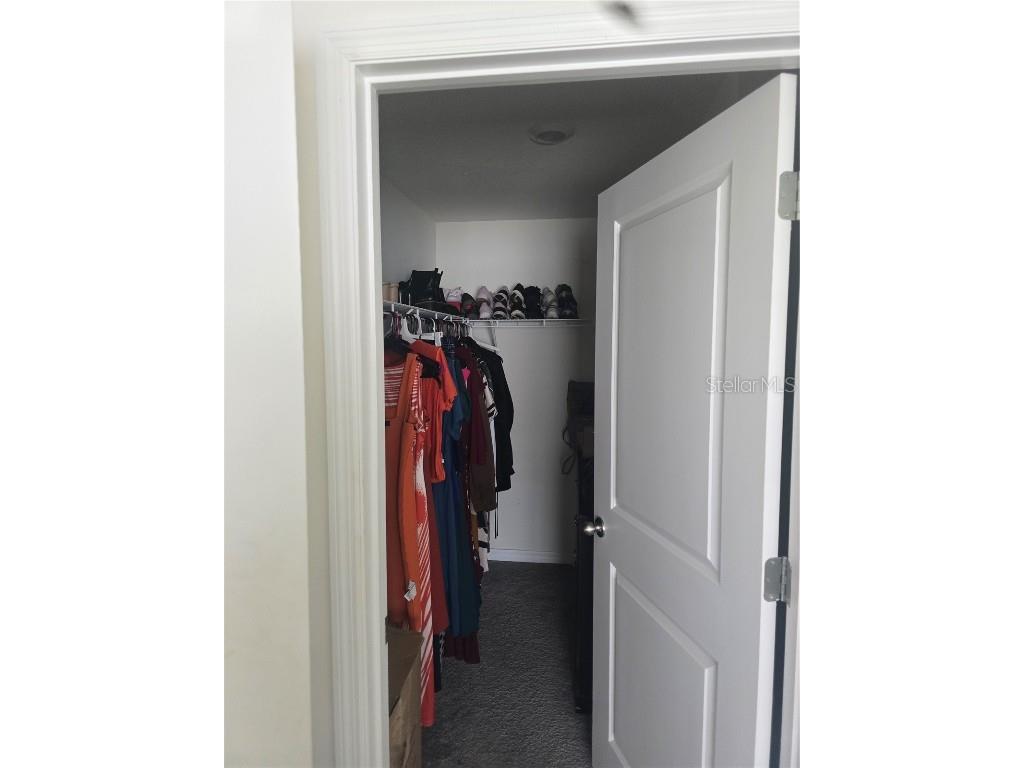 36562 Silver Maize Drive Dade City FL 33525 TB8360760 image12