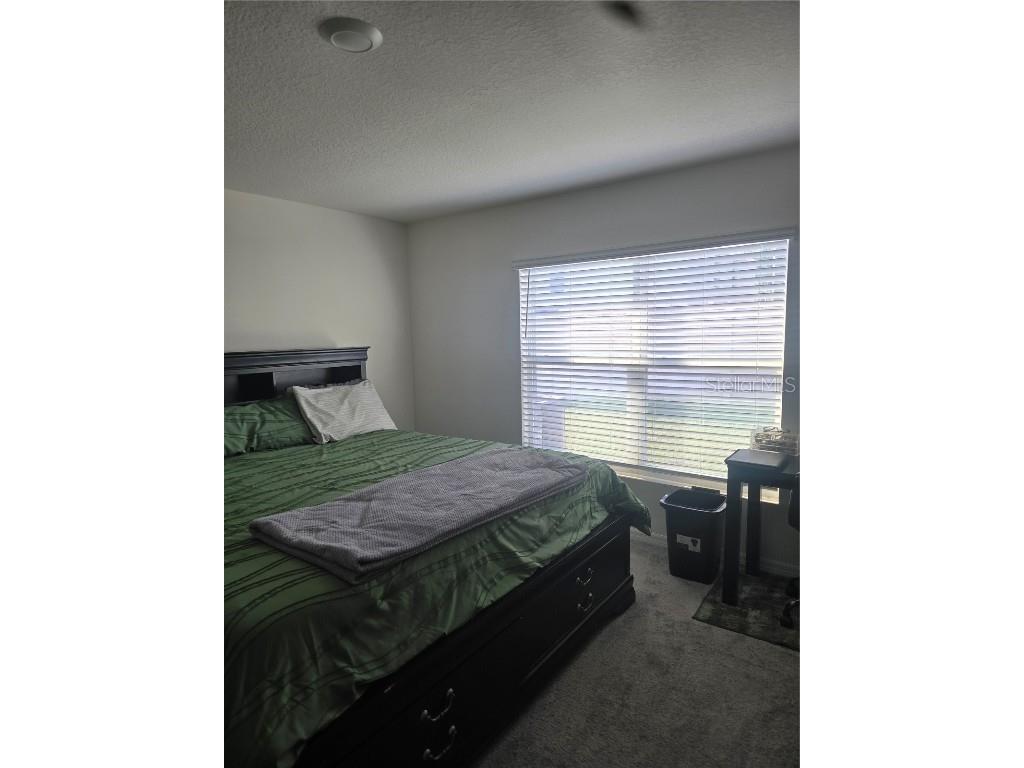 36562 Silver Maize Drive Dade City FL 33525 TB8360760 image13