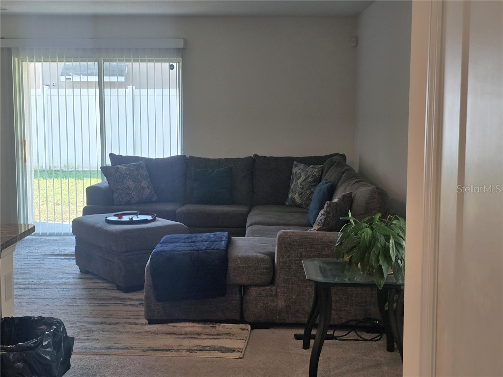 36562 Silver Maize Drive Dade City FL 33525 TB8360760 image16