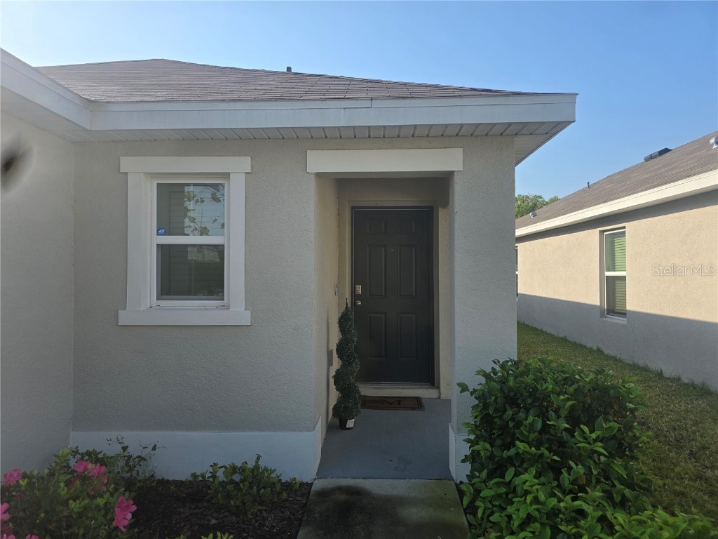 36562 Silver Maize Drive Dade City FL 33525 TB8360760 image19