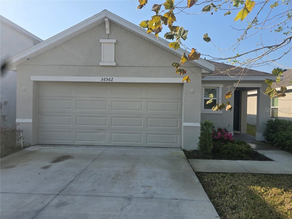 36562 Silver Maize Drive Dade City FL 33525 TB8360760 image5