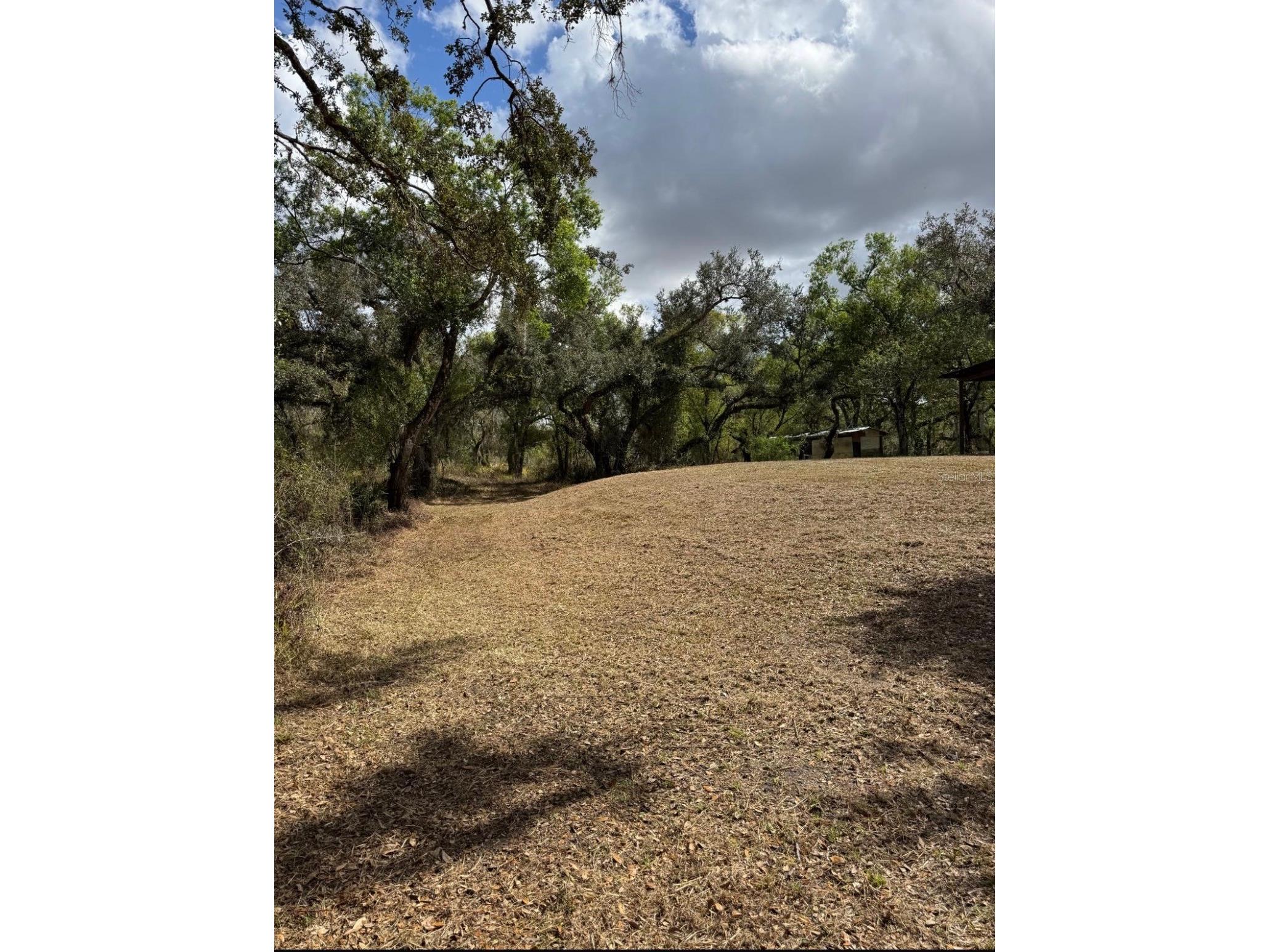 36564 Singletary Road Myakka City FL 34251 A4690082 image16