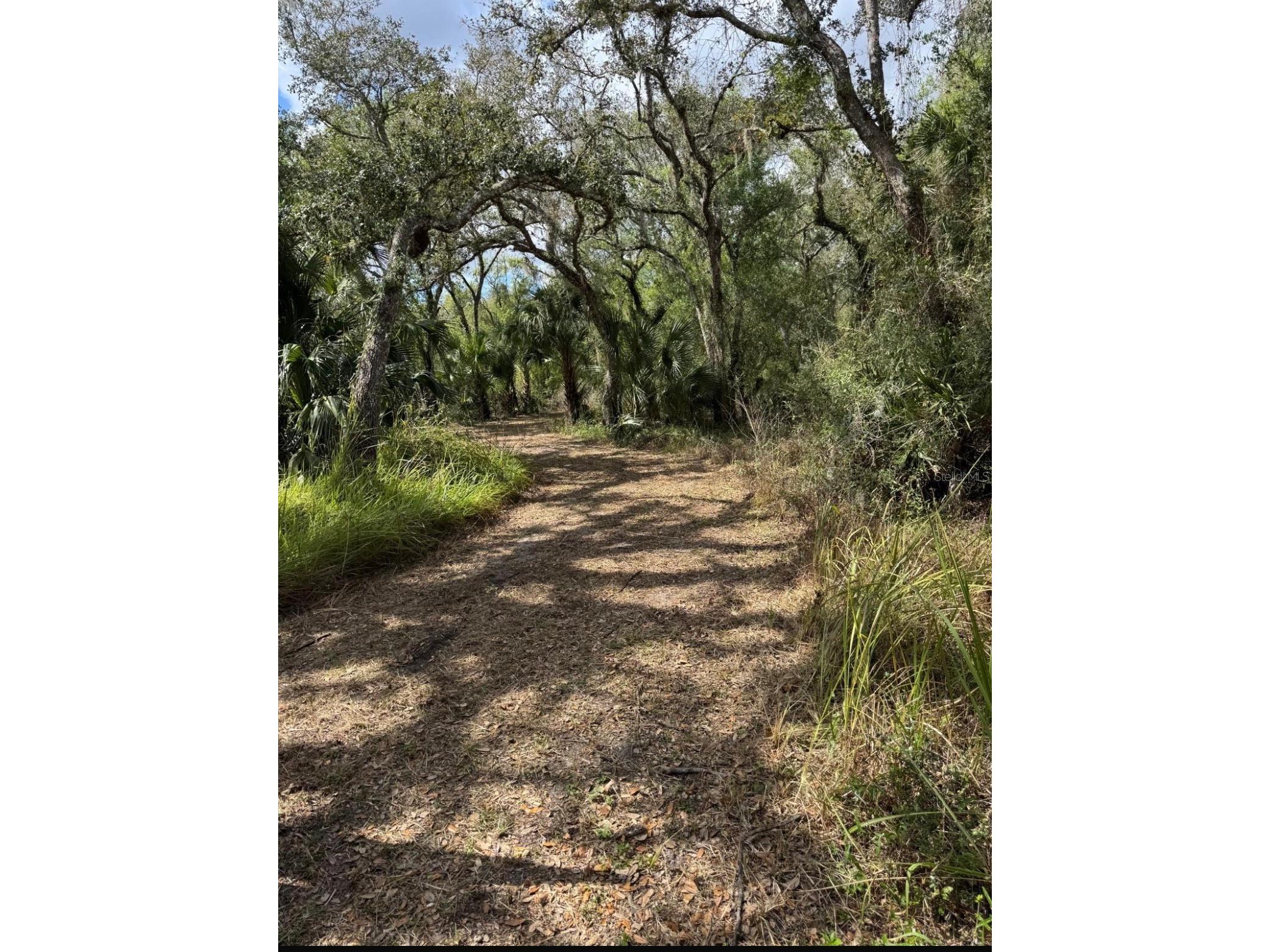 36564 Singletary Road Myakka City FL 34251 A4690082 image17